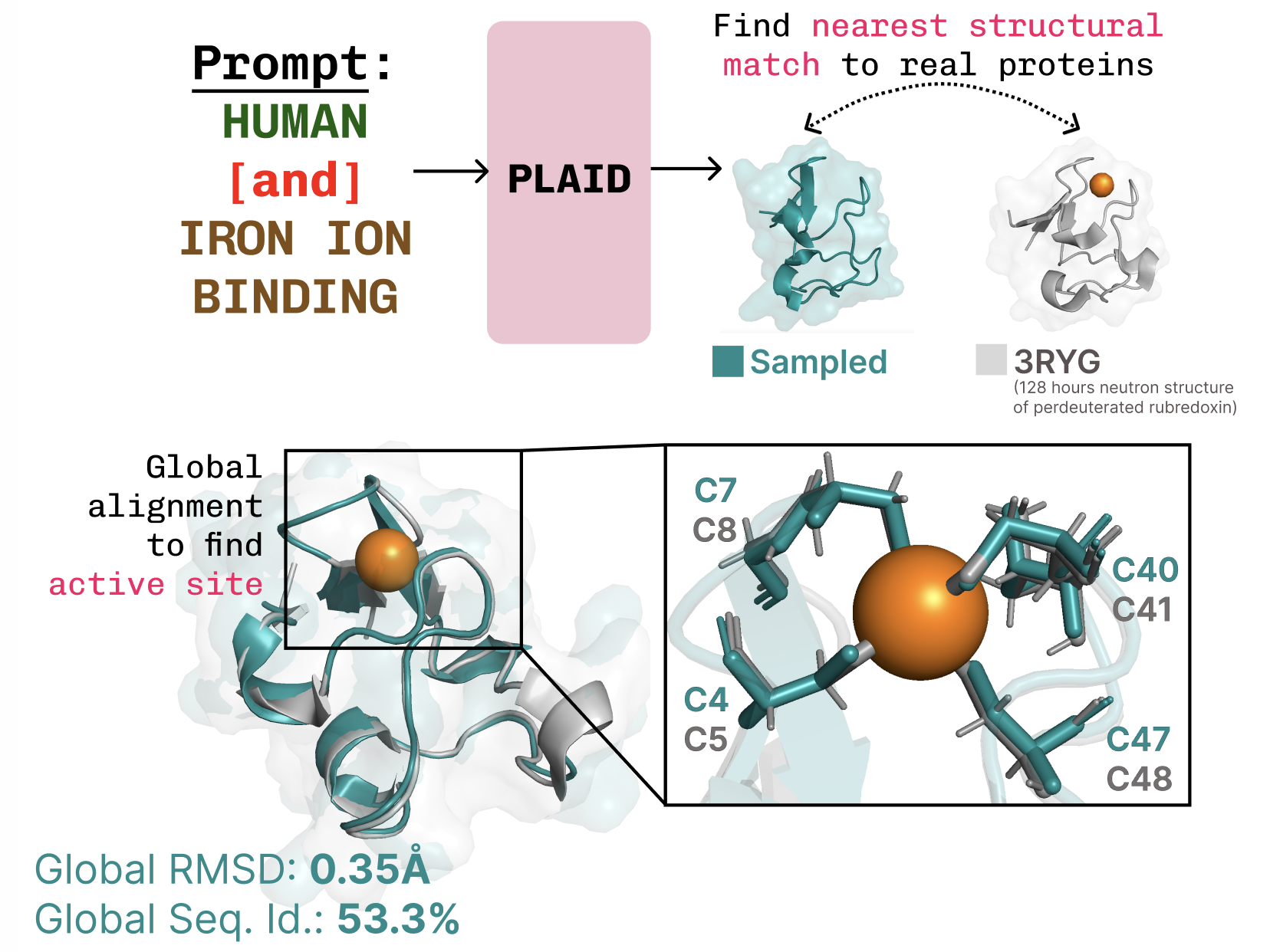 PLAID model diagram showing latent diffusion from ESMFold embeddings to generated protein sequence and 3D structure