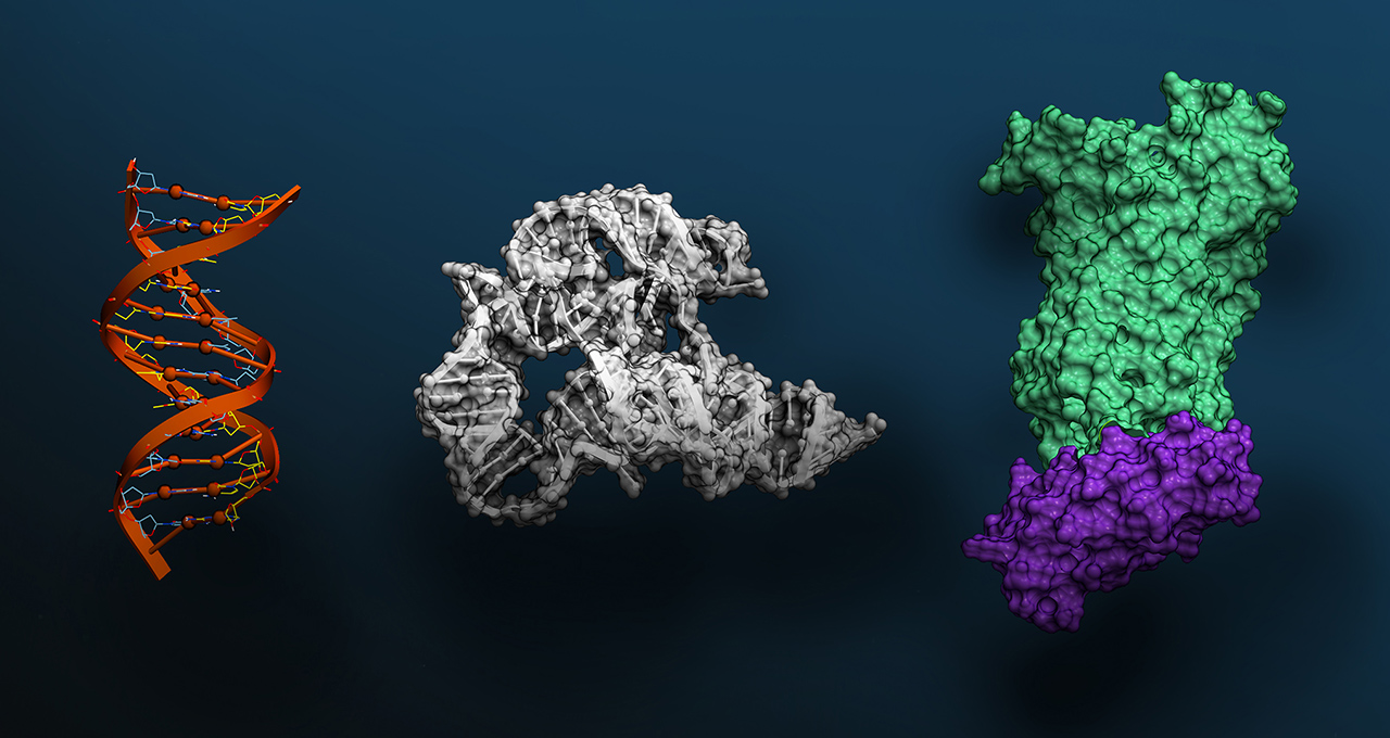 Visualization of Evo 2 AI model processing DNA sequences on NVIDIA BioNeMo platform