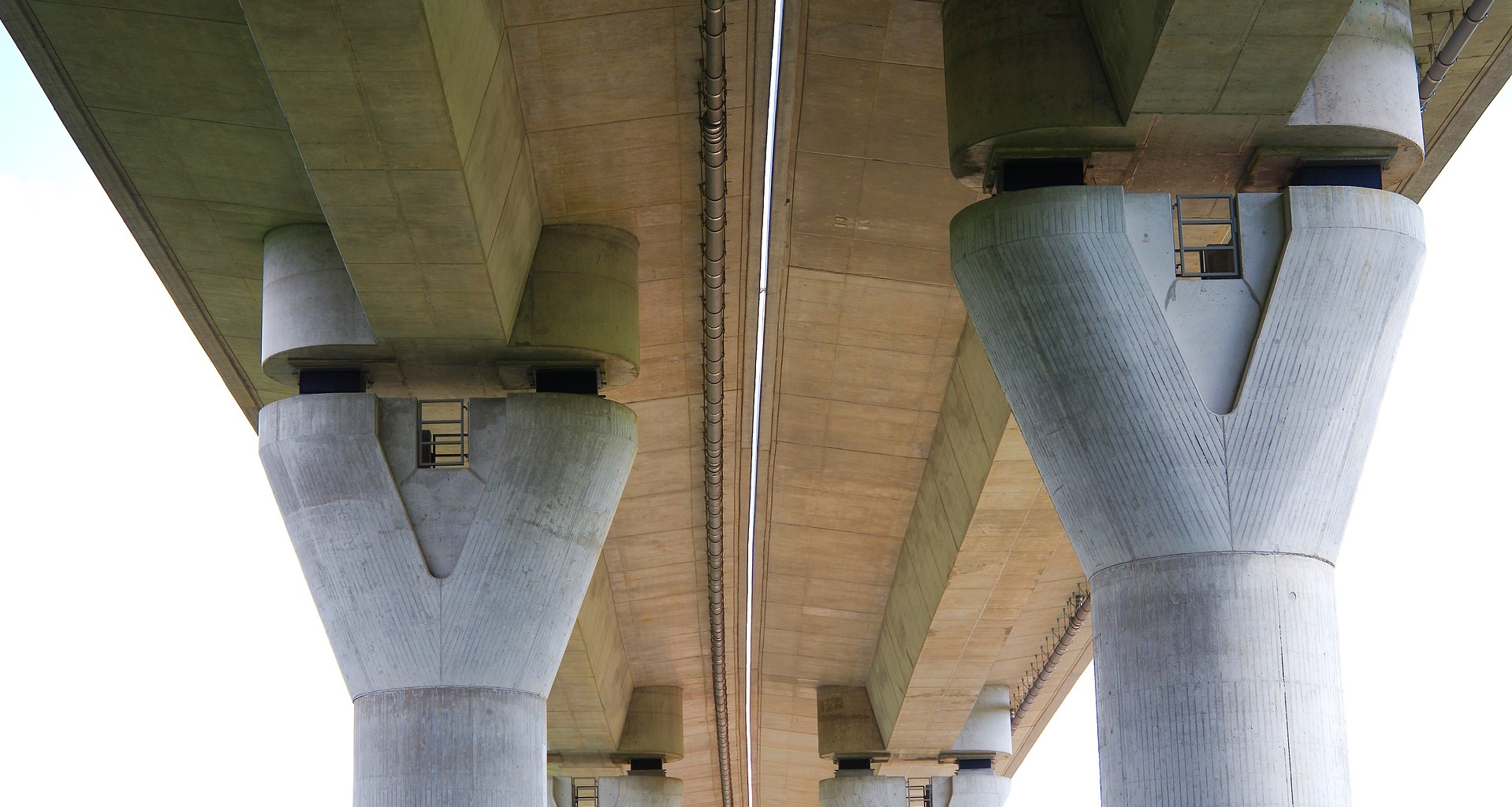 Neural network diagram illustrating foundation models with data flows and multimodal inputs