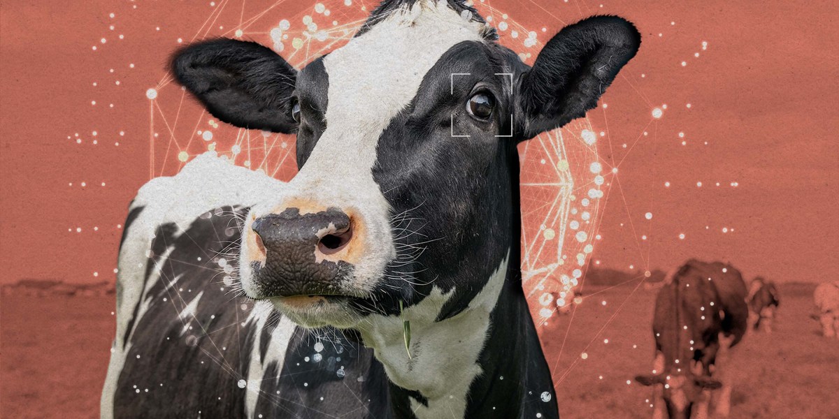 Stocking-footed activists in San Francisco coworking space debating AI and shrimp sentience