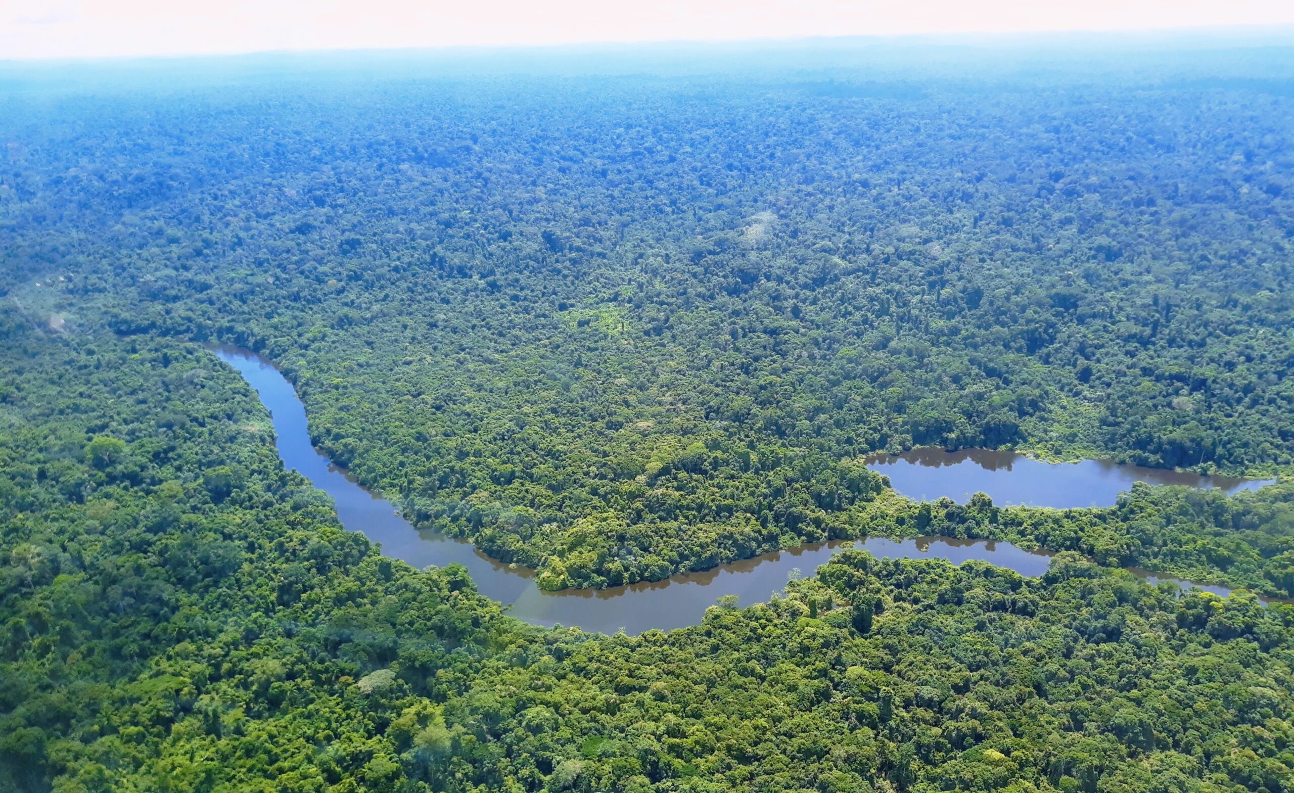 Satellite imagery showing a dense forest canopy with a few pinpointed data collection sites marked.