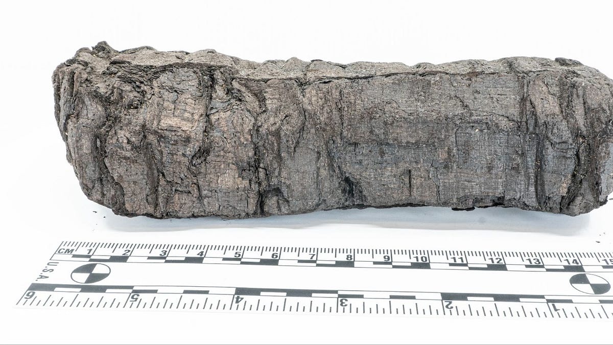 Glowing Greek word 'ΠΟΡΦΥΡΑϹ' (Purple) decoded by AI from a charred Herculaneum scroll