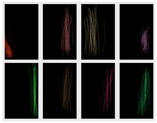 Smartphone screen with scrolling finger gesture illustrating behavioral biometrics analysis