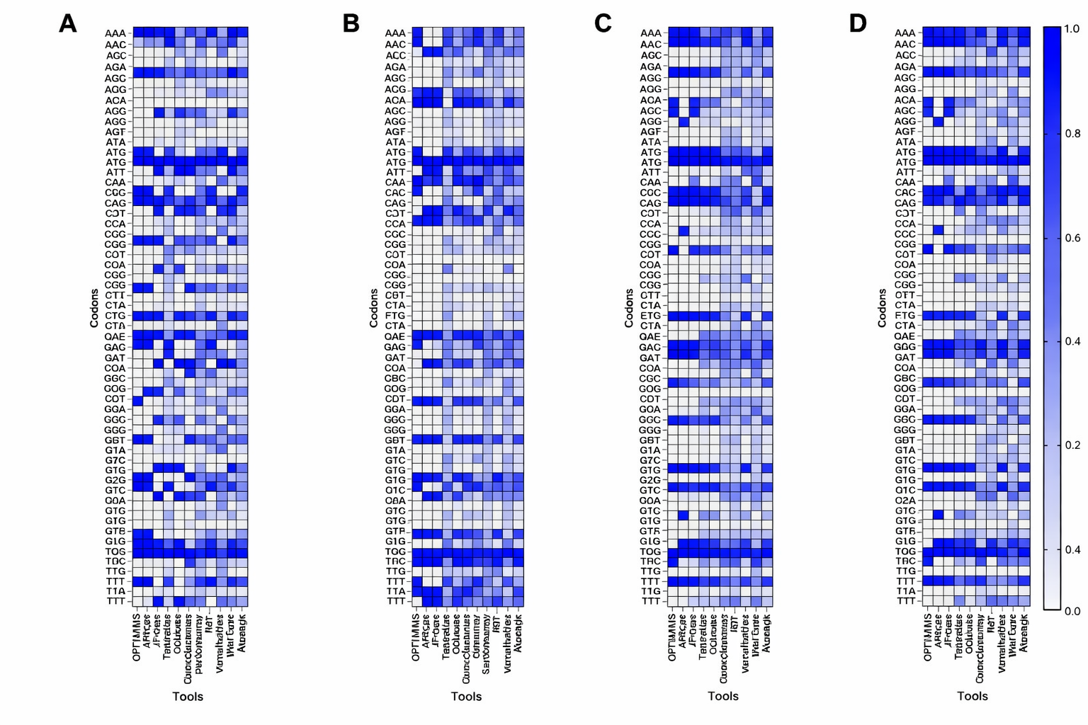 Visualization of transformer models training on codon sequences across 25 species for protein design
