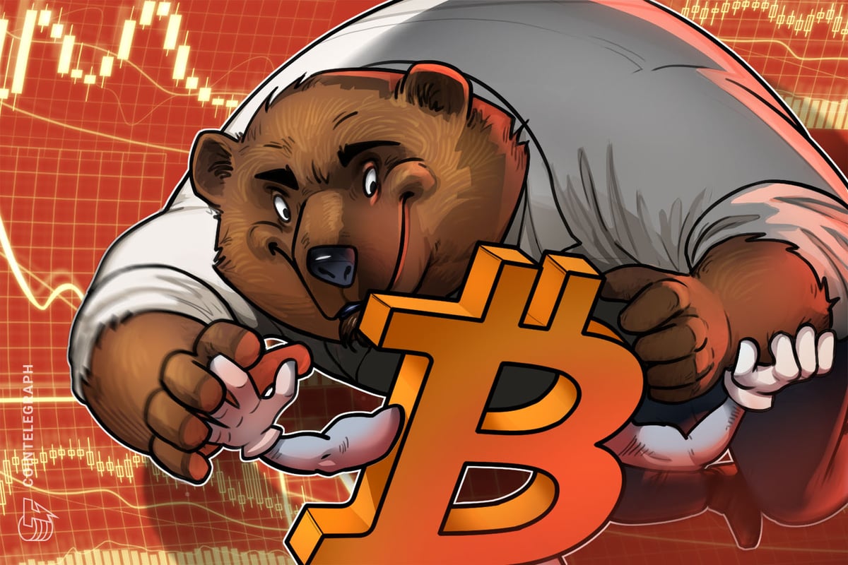 Bitcoin stochastic RSI chart overlay comparing 2022 bear market end to current patterns
